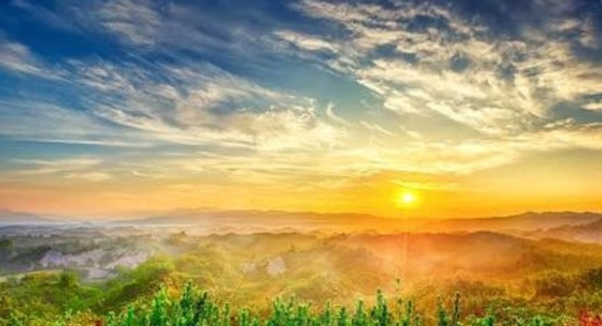 创意脑洞孵化区 - 爱情岛论坛 - 未落地创意点子脚本雏形共创孵化区